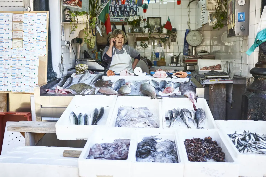 Portugal — documentary and travel photograph in Portugal, frame 22 of 46.